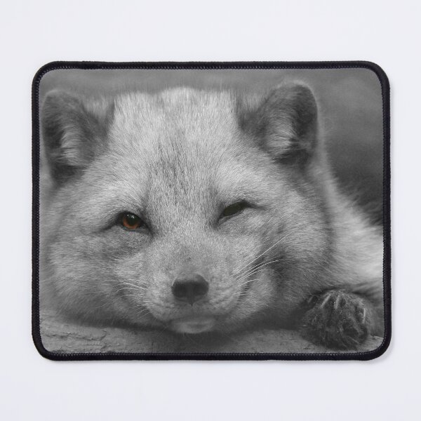 Item preview, Arctic fox designed and sold by miradorpictures.
