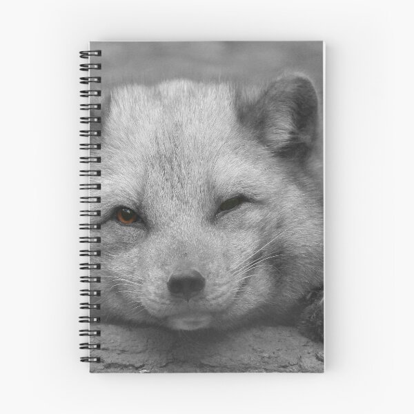 Artikelvorschau, Polarfuchs entworfen und verkauft von miradorpictures.