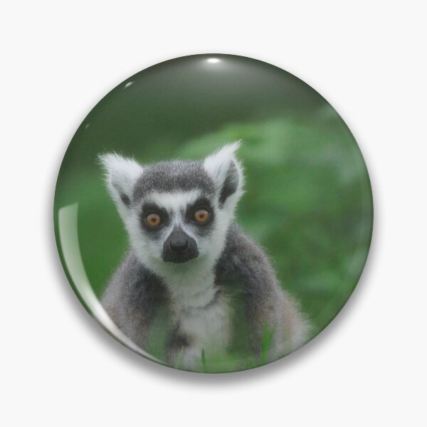 Item preview, Lemur life designed and sold by miradorpictures.