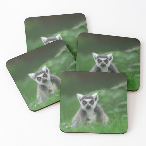 Item preview, Lemur life designed and sold by miradorpictures.