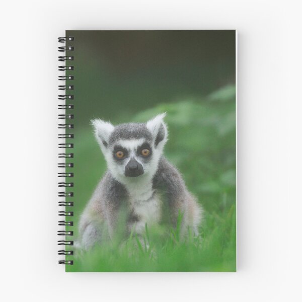 Item preview, Lemur life designed and sold by miradorpictures.