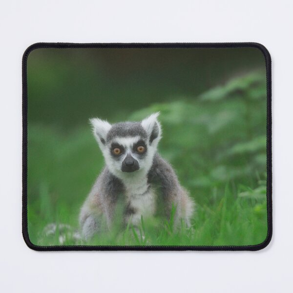 Item preview, Lemur life designed and sold by miradorpictures.