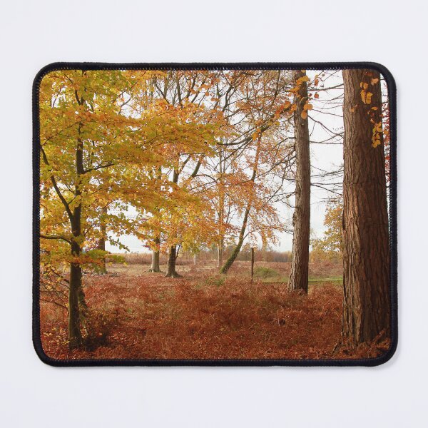 Item preview, Autumn sun designed and sold by miradorpictures.