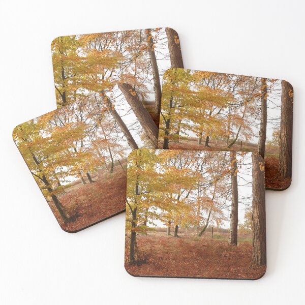 Item preview, Autumn sun designed and sold by miradorpictures.