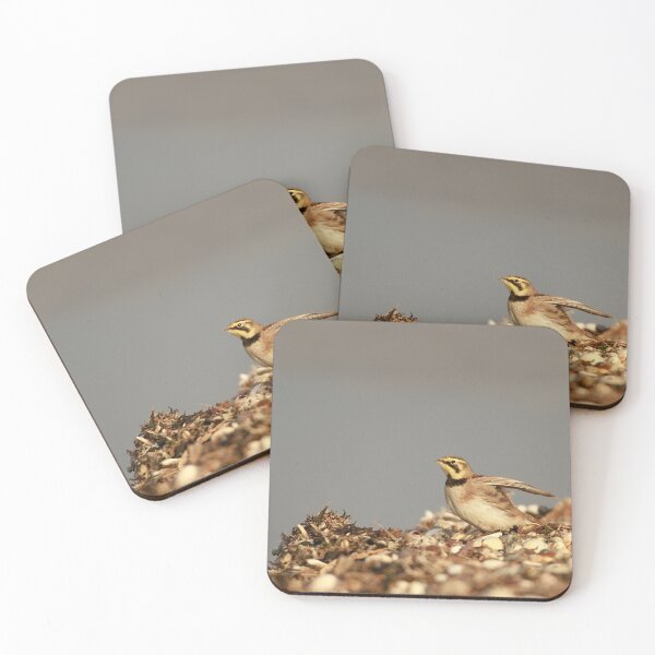 Item preview, In a flap  designed and sold by miradorpictures.