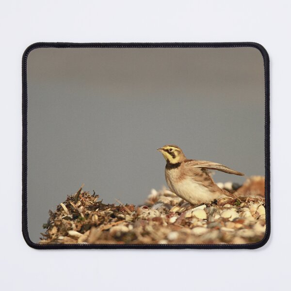 Item preview, In a flap  designed and sold by miradorpictures.