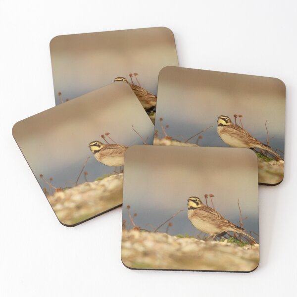 Item preview, Shore sighted  designed and sold by miradorpictures.