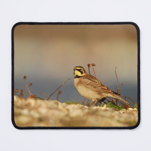 Item preview, Shore sighted  designed and sold by miradorpictures.