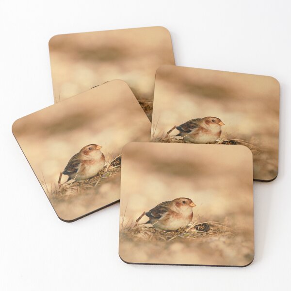 Item preview, Bunting beach  designed and sold by miradorpictures.
