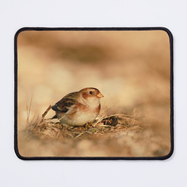 Item preview, Bunting beach designed and sold by miradorpictures.