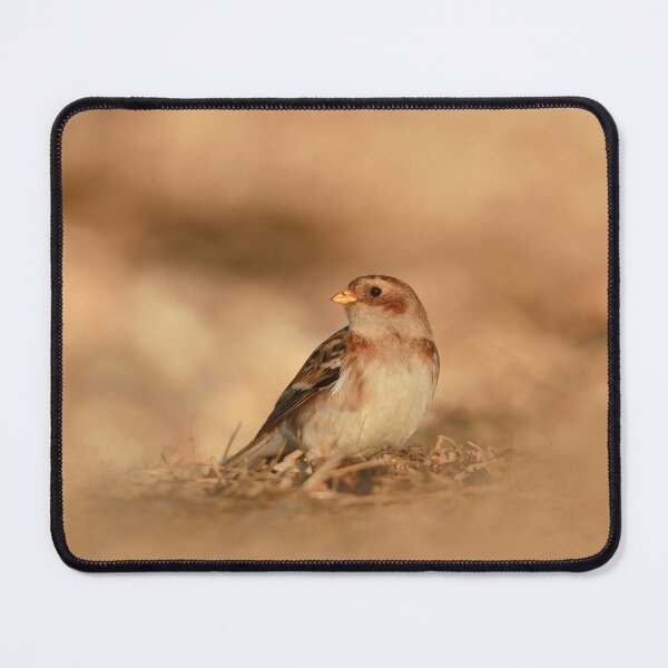 Item preview, On lookout designed and sold by miradorpictures.