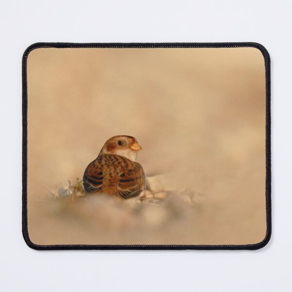 Item preview, Showy snowy designed and sold by miradorpictures.