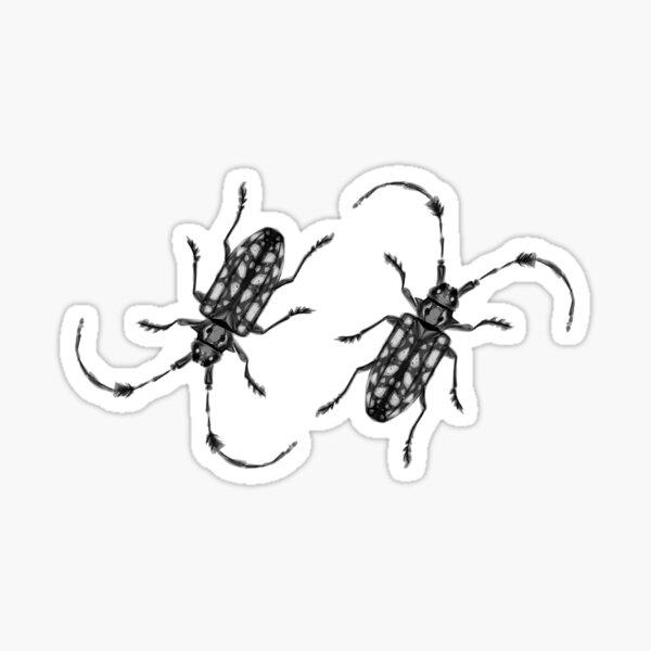 Item preview, Bugs - Longhorn Beetle in ink designed and sold by Made By Nishi | Nishi Wojnar.