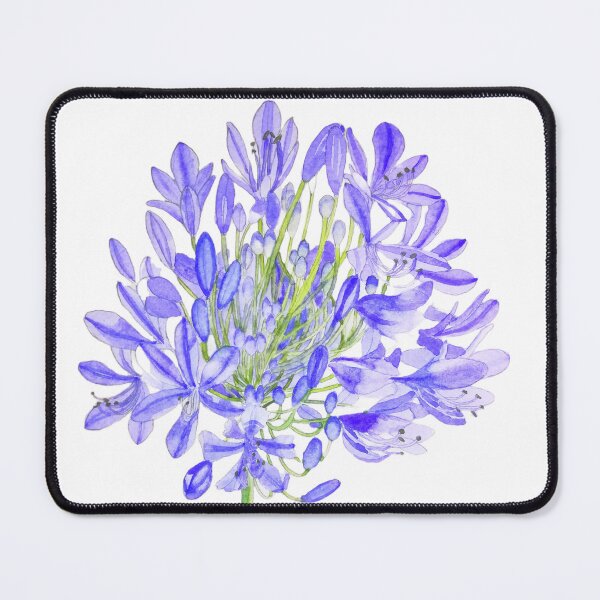 Item preview, Copy of Agapanthus flower watercolour painting  designed and sold by esvb.
