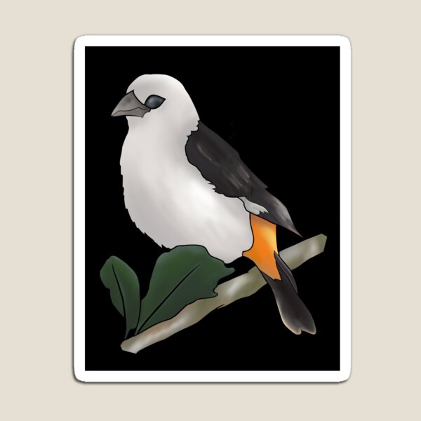 Item preview, White-headed Buffalo Weaver designed and sold by A-inProgress.