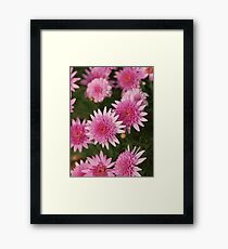 PINK... Framed Print