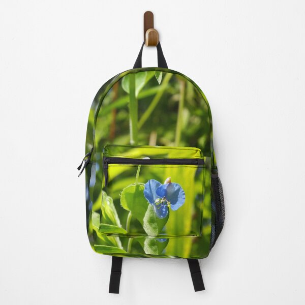 Item preview, Evergreen shrub with blue flowers || Floral photography. designed and sold by Yusuf-Design.