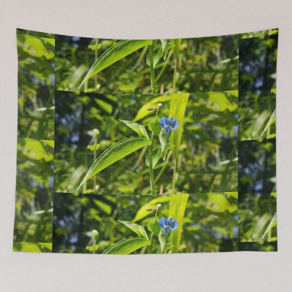 Item preview, Evergreen shrub with blue flowers  || Floral photography. designed and sold by Yusuf-Design.