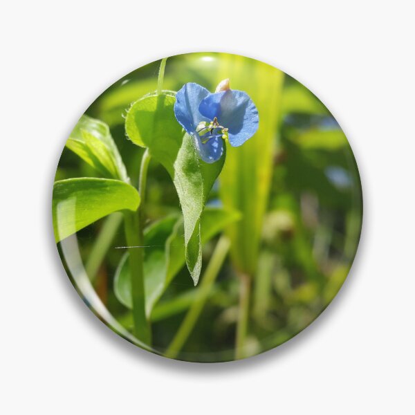 Item preview, Evergreen shrub with blue flowers  || Floral photography. designed and sold by Yusuf-Design.