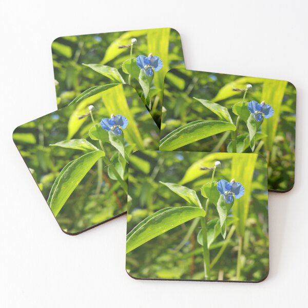 Item preview, Evergreen shrub with blue flowers  || Floral photography. designed and sold by Yusuf-Design.