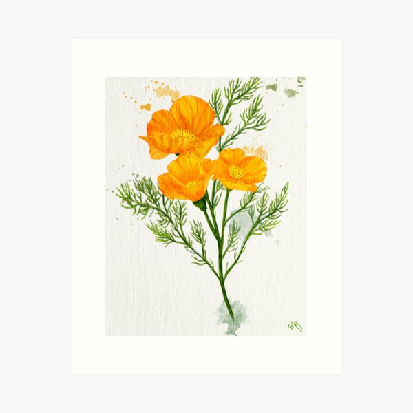 Aperçu de l'œuvre Aquarelle de coquelicots de Californie créée et vendue par PetalNPalette.