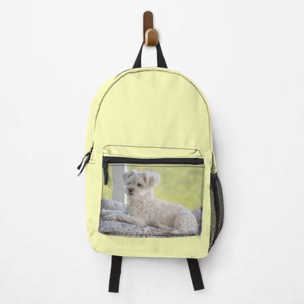 Item preview, Fonzy, Little White Maltese designed and sold by CarolM.