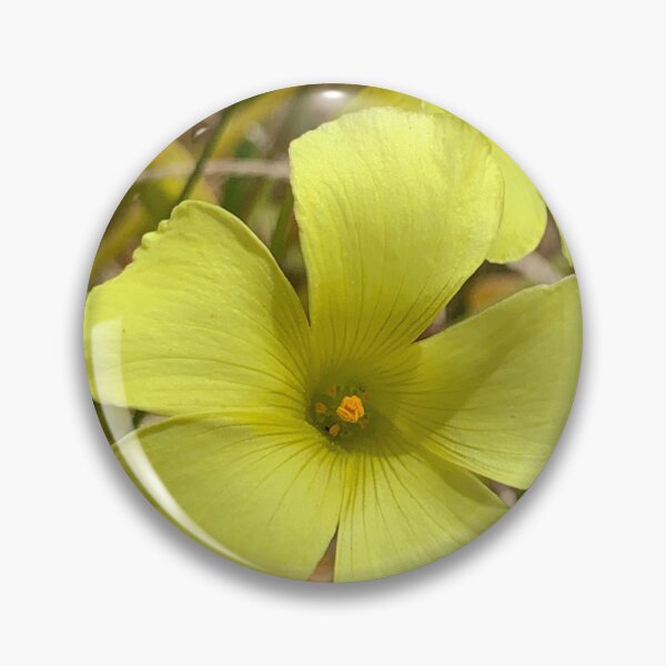 Item preview, Golden Sorrel designed and sold by Betsy Phillips.