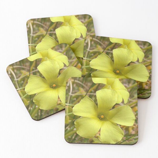 Item preview, Golden Sorrel designed and sold by Betsy Phillips.