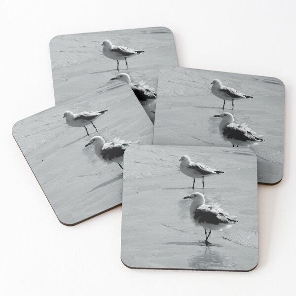 Item preview, Seagulls swim designed and sold by CHOCOLATESCORPI.