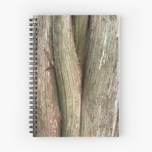 Item preview, Cedar Tree designed and sold by ArtfullHeart9.