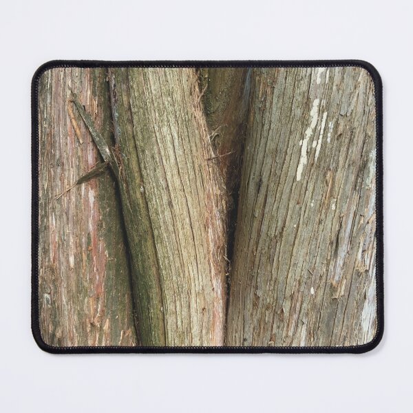 Item preview, Cedar Tree designed and sold by ArtfullHeart9.