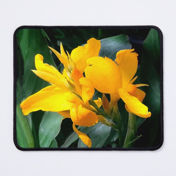 Item preview, A Bright Spot by the Pond ~ Cannas designed and sold by SummerJade.