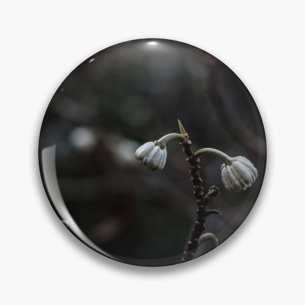 Item preview, Subtle designed and sold by IdleImages.
