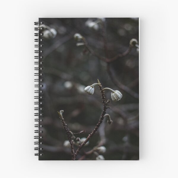 Item preview, Subtle designed and sold by IdleImages.