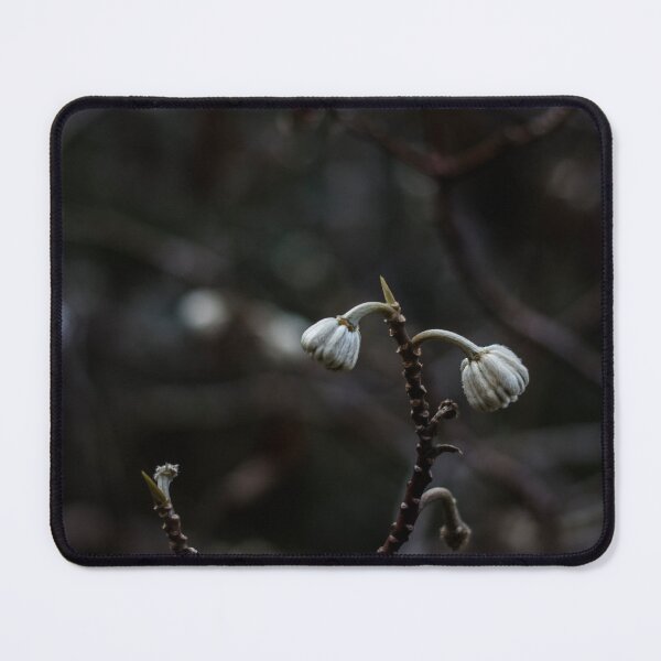 Item preview, Subtle designed and sold by IdleImages.
