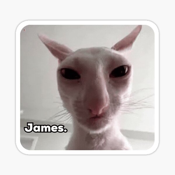 Artikel-Vorschau von James Cat, designt und verkauft von SkrenClothing.
