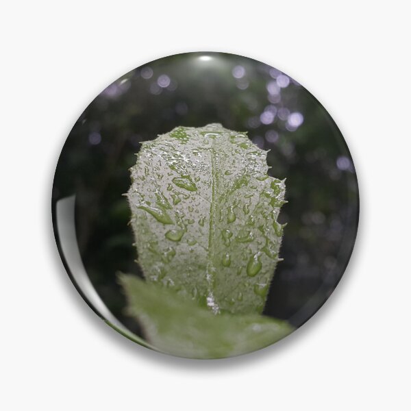 Item preview, Beautiful dark green wet leaf design || Shot in the jungle, focus on foreground. designed and sold by Yusuf-Design.
