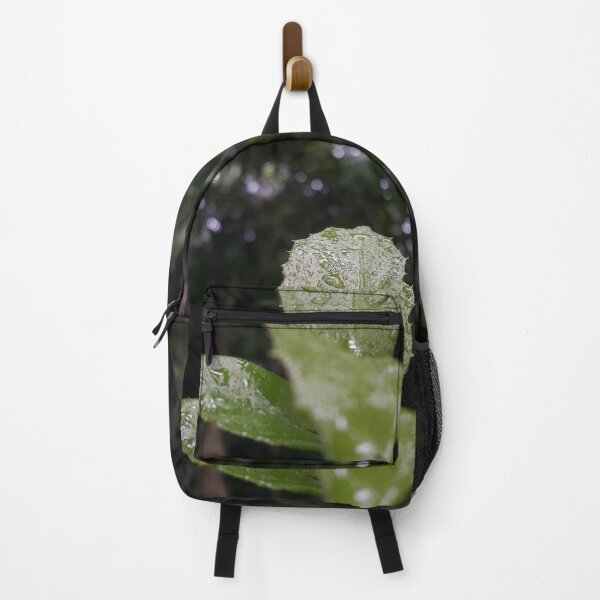 Item preview, Beautiful dark green wet leaf design || Shot in the jungle, focus on foreground. designed and sold by Yusuf-Design.