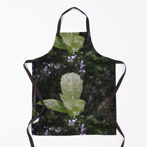 Item preview, Beautiful dark green wet leaf design || Shot in the jungle, focus on foreground. designed and sold by Yusuf-Design.