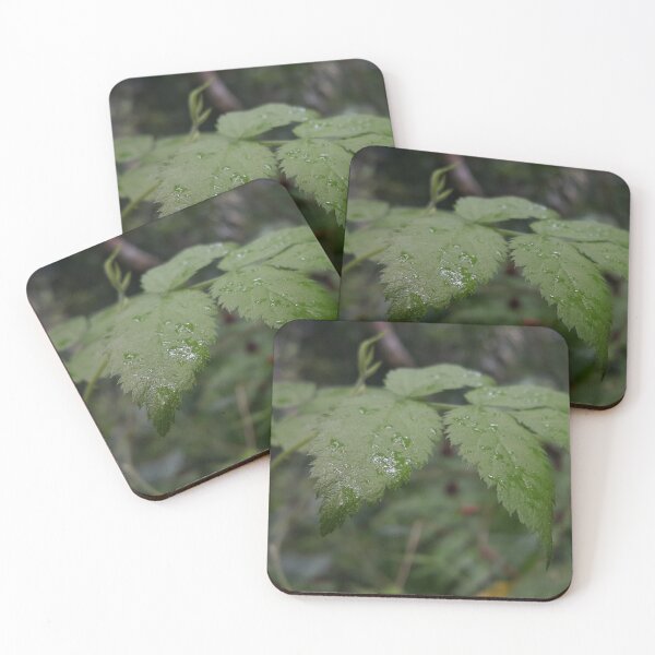 Item preview, Beautiful wet green leaf  || Perfect for Nature Lovers who love the Jungle designed and sold by Yusuf-Design.