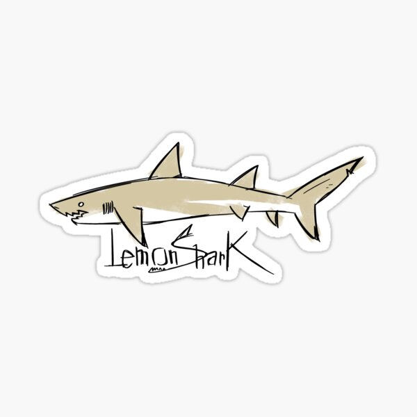 Lemon Shark Sketch Sticker