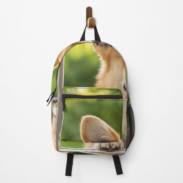 Item preview, Corgi on the lookout on the landing of the house designed and sold by Memetitation.