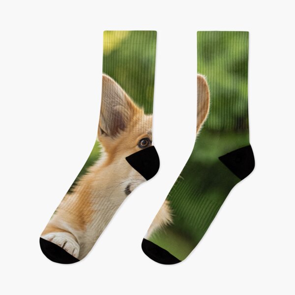 Item preview, Corgi on the lookout on the landing of the house designed and sold by Memetitation.