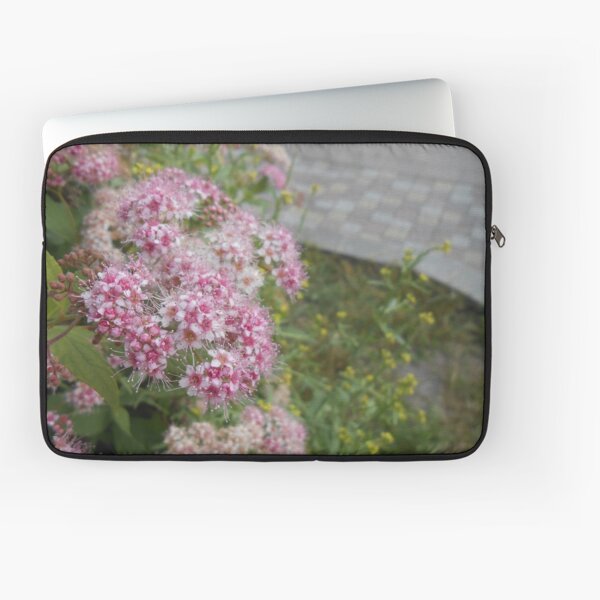 Item preview, Japanese Spirea (Spiraea japonica) (1) designed and sold by Gold88Lion.