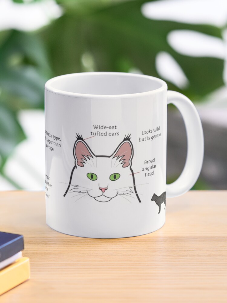 maine coon mug