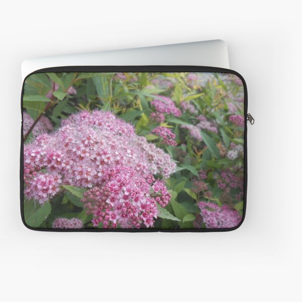 Item preview, Photo Japanese Spirea (Spiraea japonica), bush blossom (1) designed and sold by Gold88Lion.