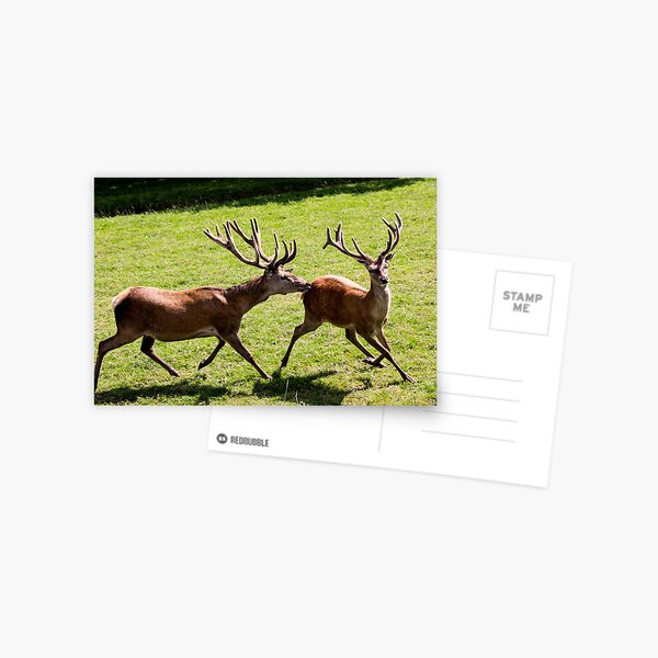 Aperçu de l'œuvre Chasse au cerf - petit créée et vendue par JRFotography.