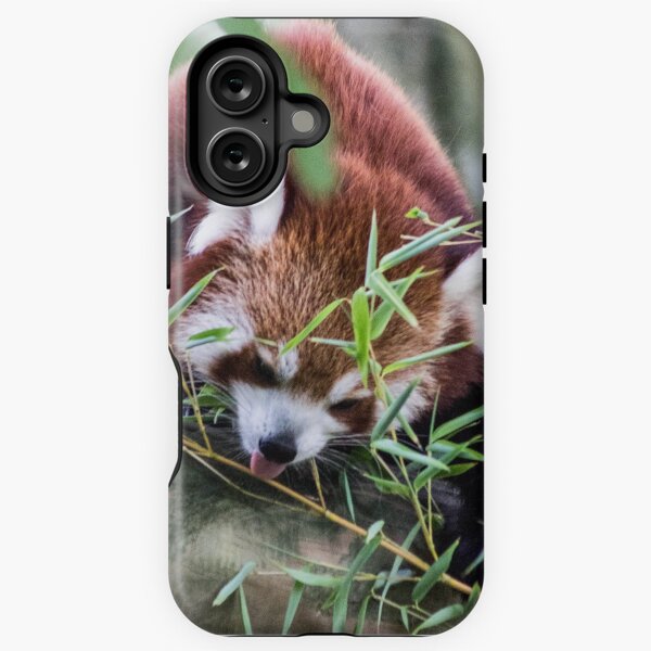 Aperçu de l'œuvre Panda roux - petit créée et vendue par JRFotography.