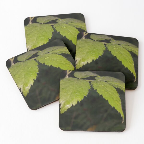 Item preview, Beautiful wet green leaf wallpaper perfect for Nature Lovers. designed and sold by Yusuf-Design.