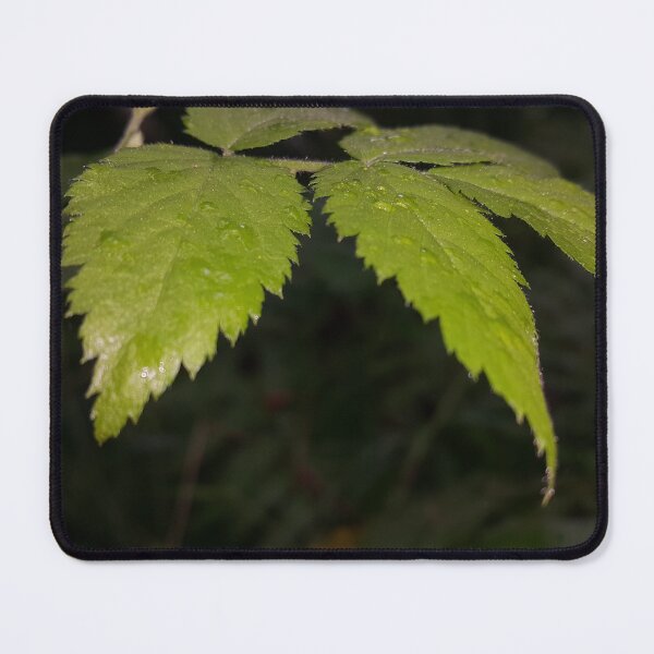 Item preview, Beautiful wet green leaf wallpaper perfect for Nature Lovers. designed and sold by Yusuf-Design.